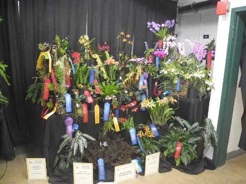 CHAOS display at VOS 2025